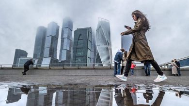 Фото - Эксперт назвала приложения, которые россиянам стоит заранее скачать из App Store