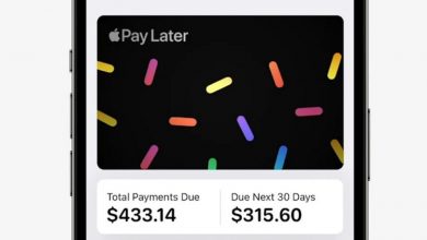 Фото - Запуск рассрочки Apple Pay Later отложили до следующего года